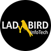 Austin Digital Marketing & Webdesign Agency [LadyBird InfoTech]